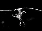 Analýza filament - 3D morfologie neuronů