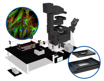 Polohovací systémy pro mikroskopii