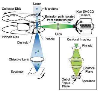 Uspořádání optické cesty - SDCM